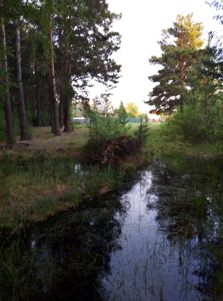 Photograph by Елена Аверьянова