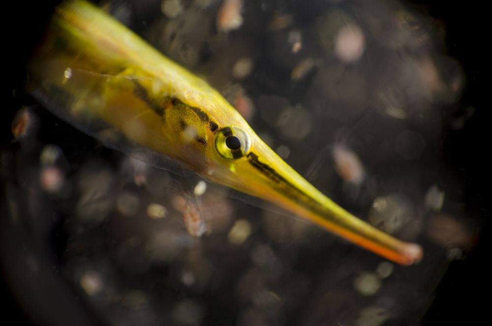 Photograph by EELIN Chan