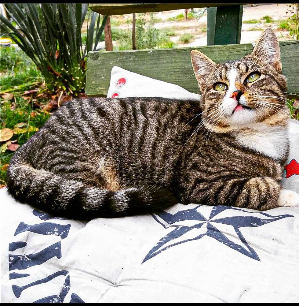 Photograph by Naida Čajić