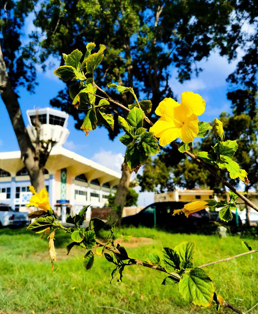 Photograph by Hamed Raafat