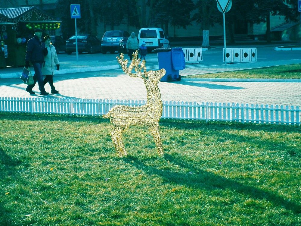 Фотография автора Сергей Зиньковский