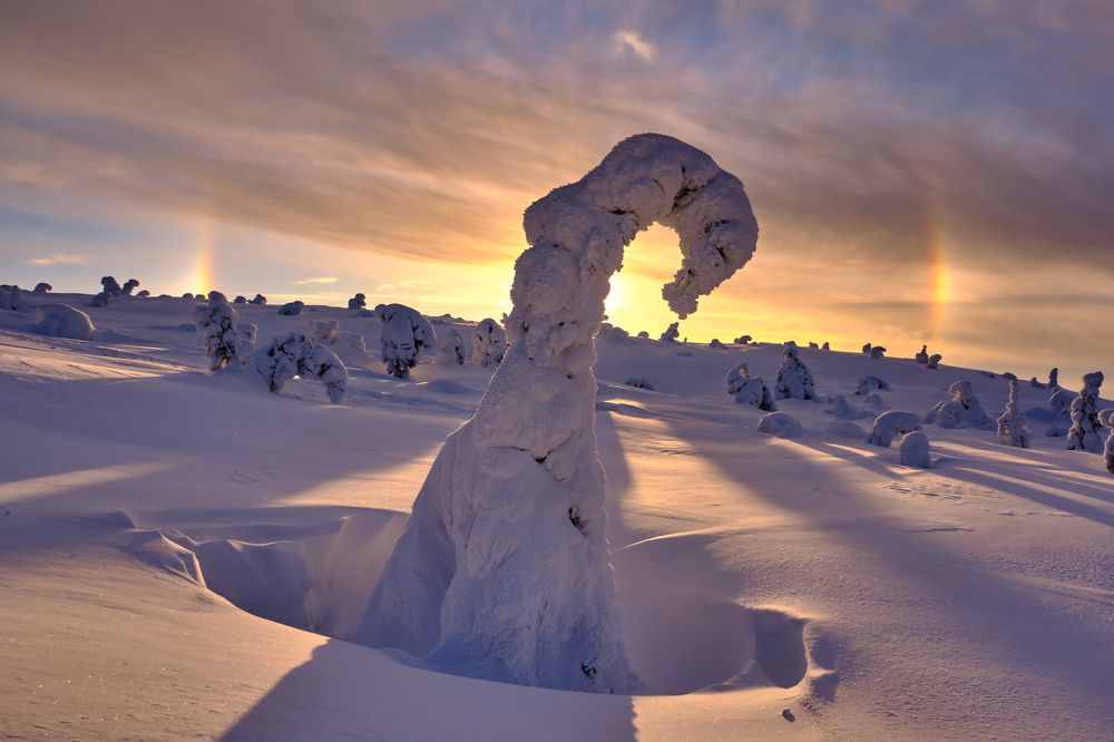 Заполярная сказка...