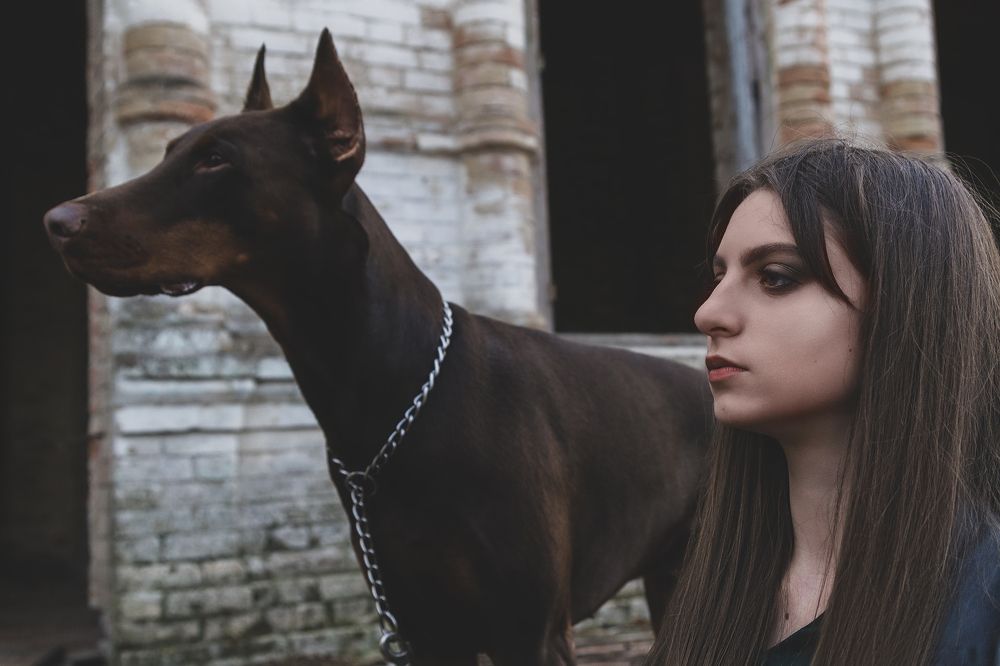 Photograph by Елена Лупарева