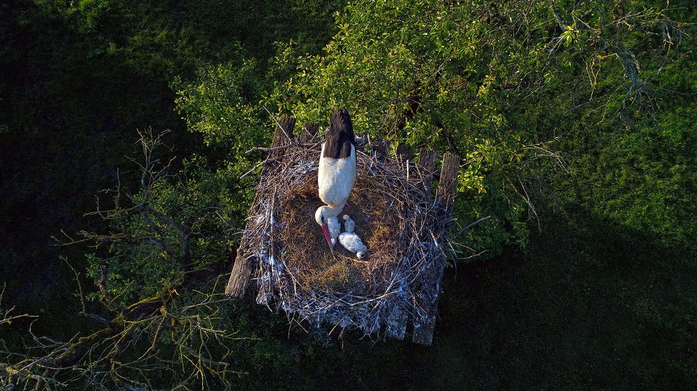 Photograph by Nenad Martić