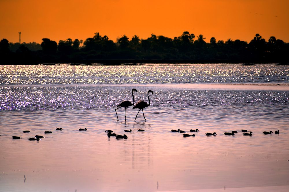 Photograph by Suyothami