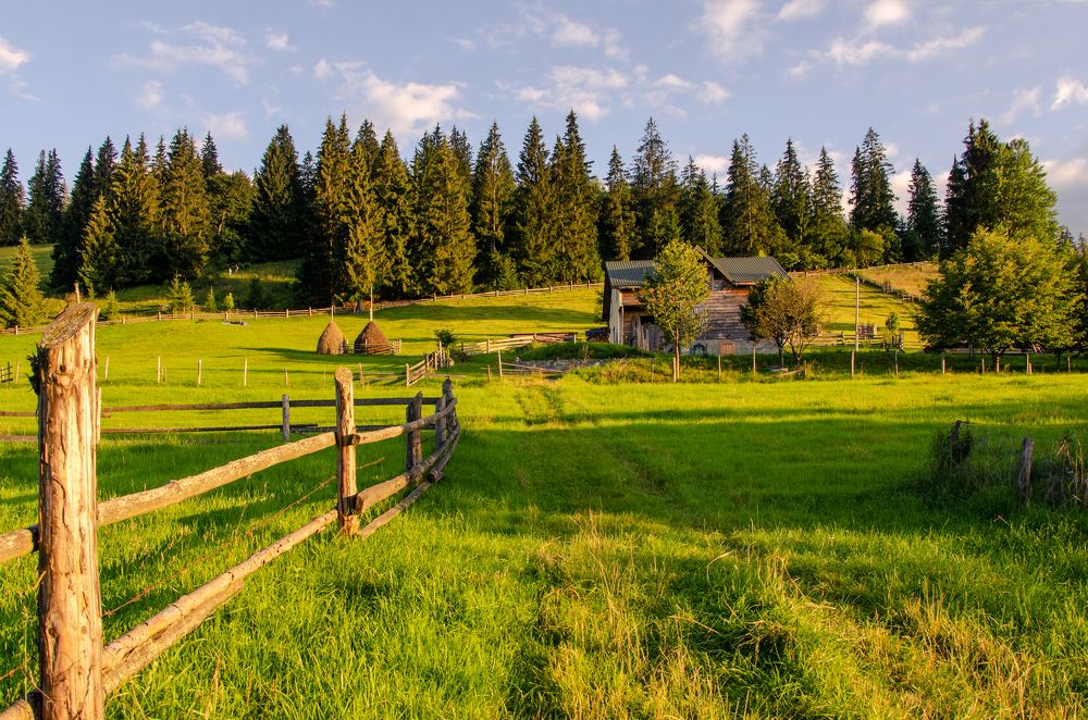 Photograph by Писаренко Оля