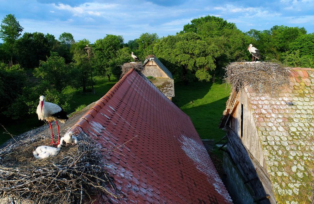 Photograph by Nenad Martić