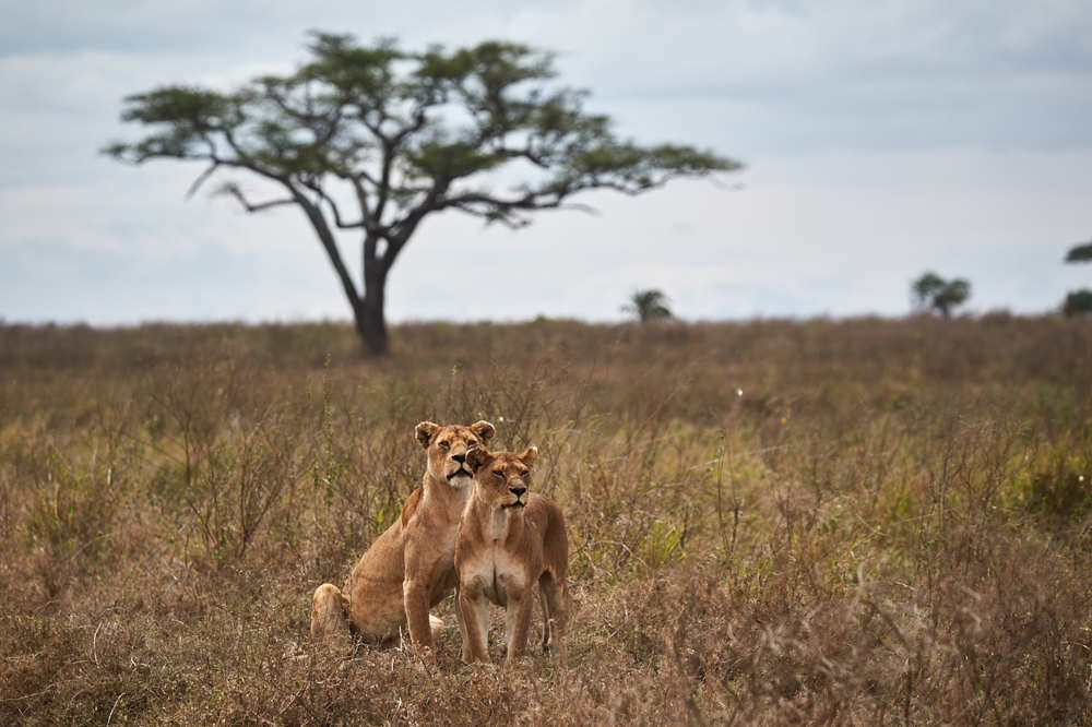 Photograph by Николай Наумов