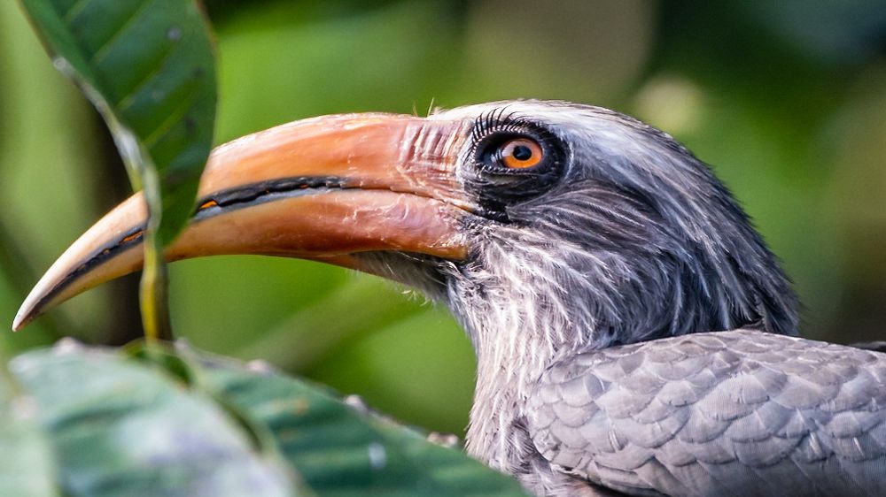 Photograph by DHANASEKAR R