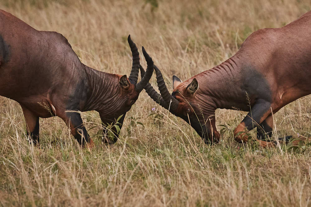 Photograph by Николай Наумов