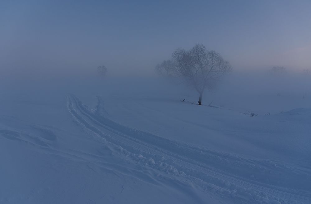 Photograph by Света и Вася