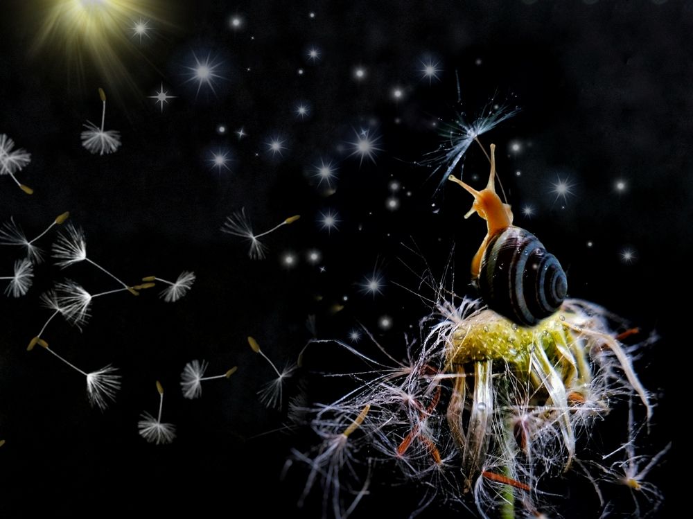 Photograph by Оксана Маракушина