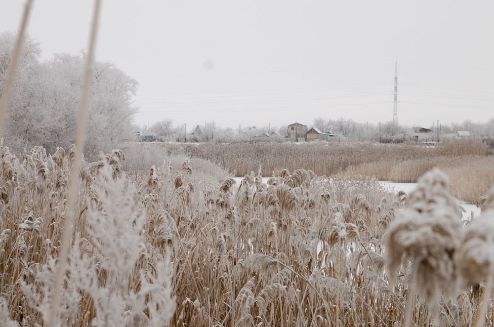 Photograph by Сергей Козлов