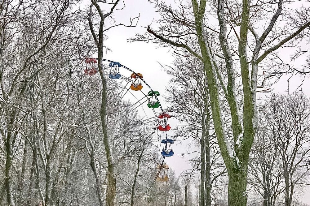 Photograph by Елена Данченко