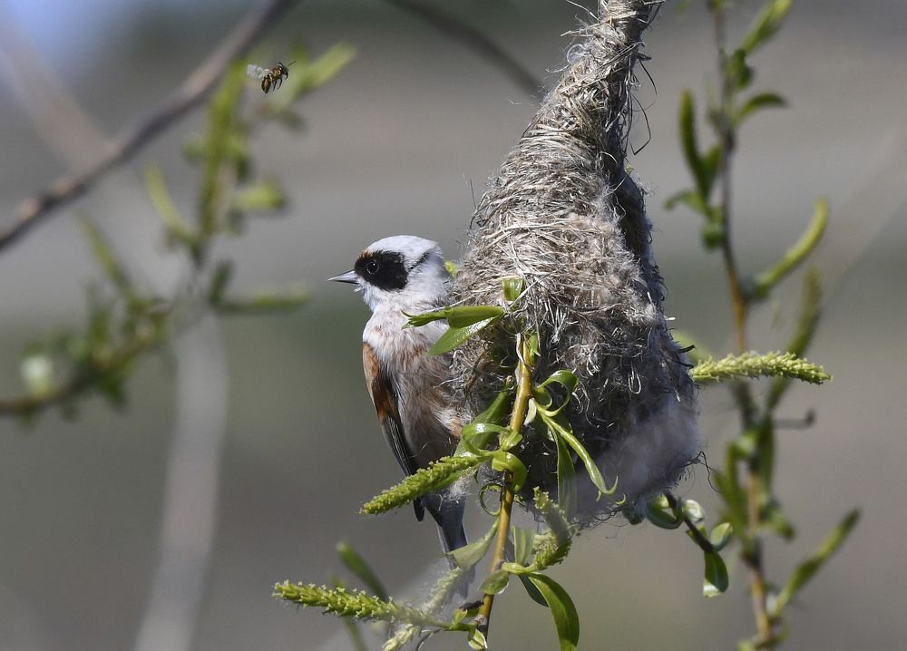 Photograph by MIKHAIL KALAGIN