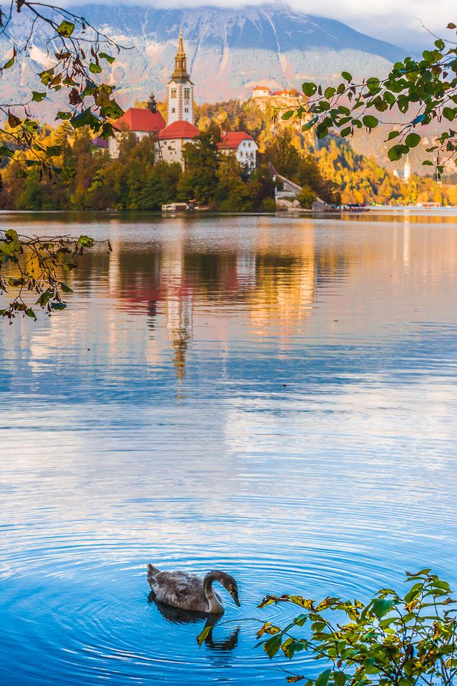 Photograph by Алексей Котлов