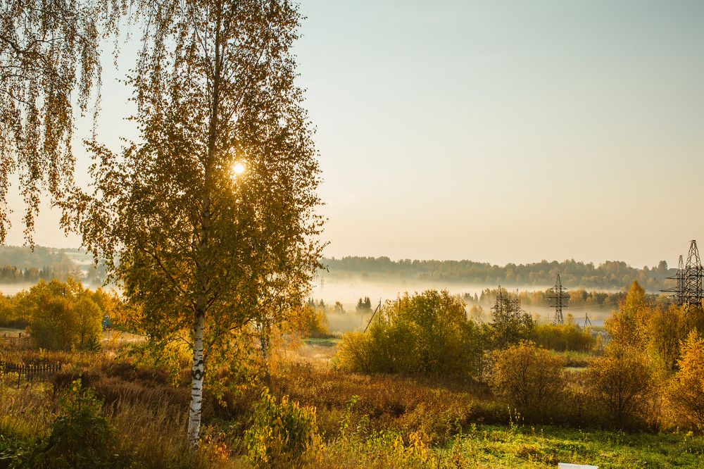 Photograph by Алёна Топорова