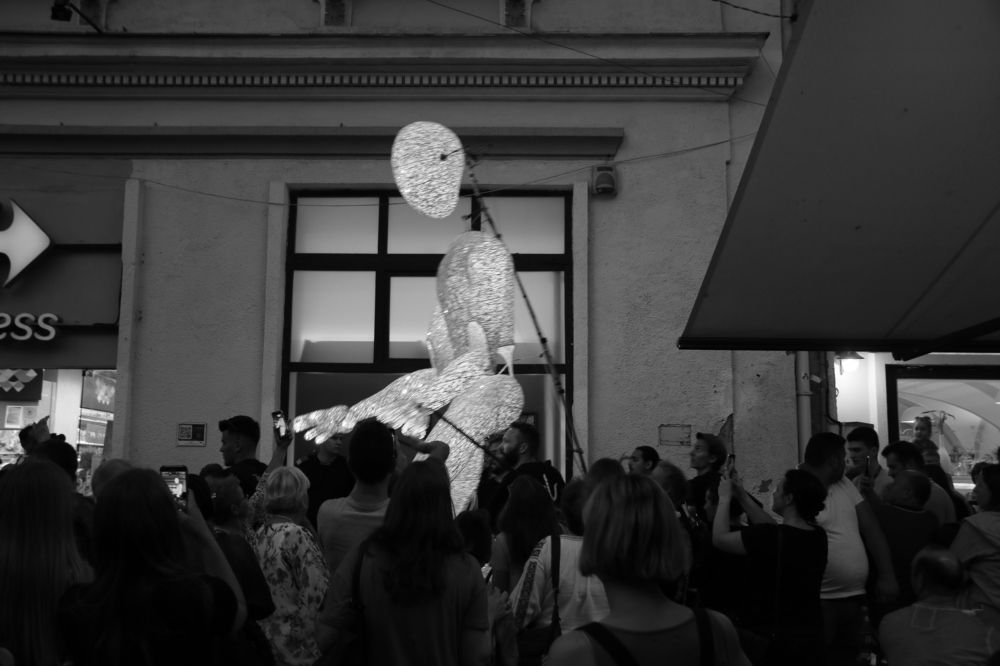 Photograph by Dinel Teodorescu