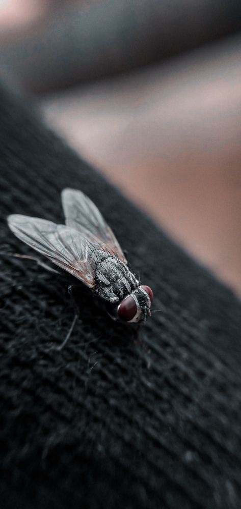Photograph by Mouazzam Zerwi