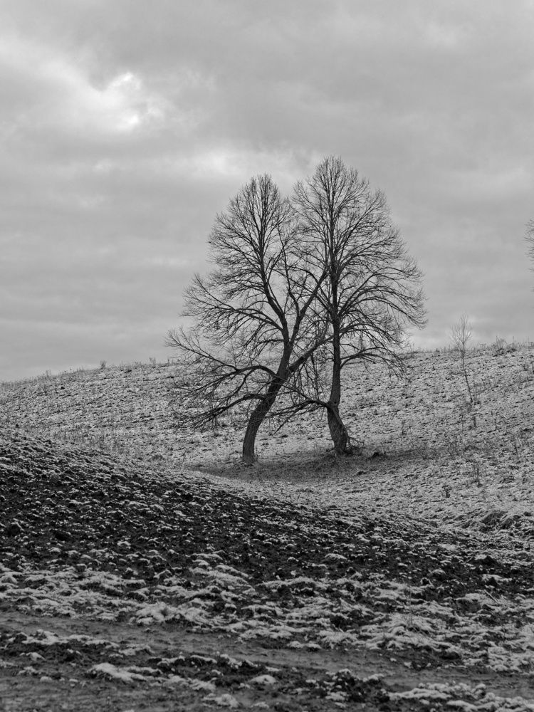И в горе, и в радости...