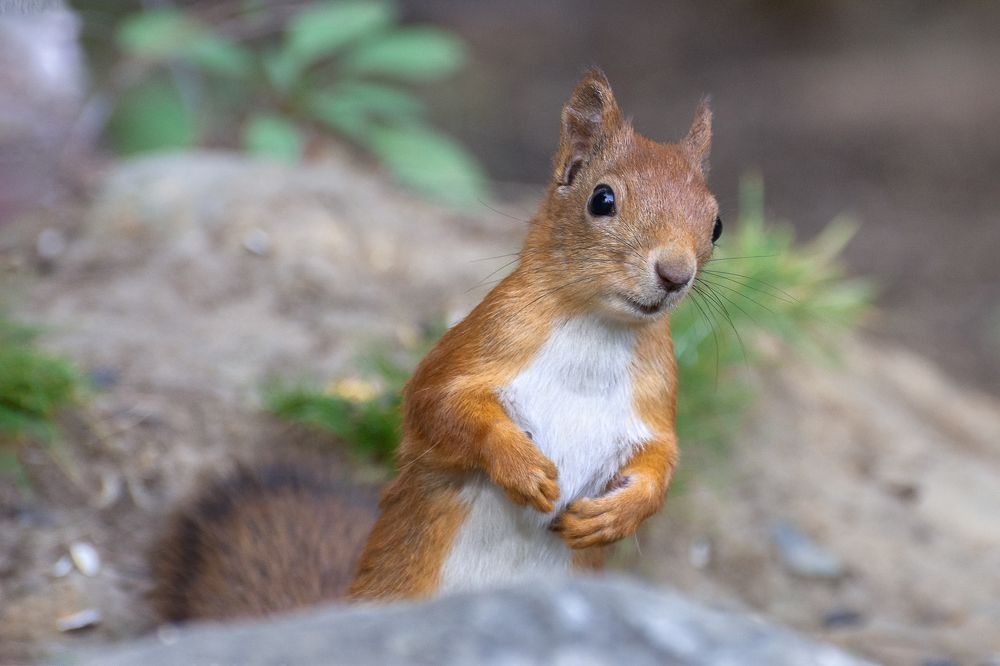 Photograph by Olga Akhmetova