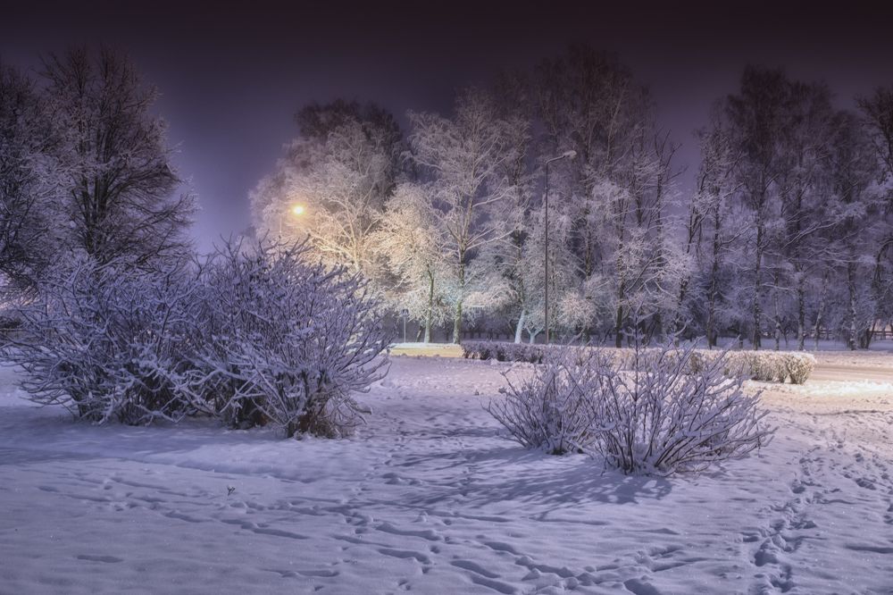 Фотография автора Юлия Кранина