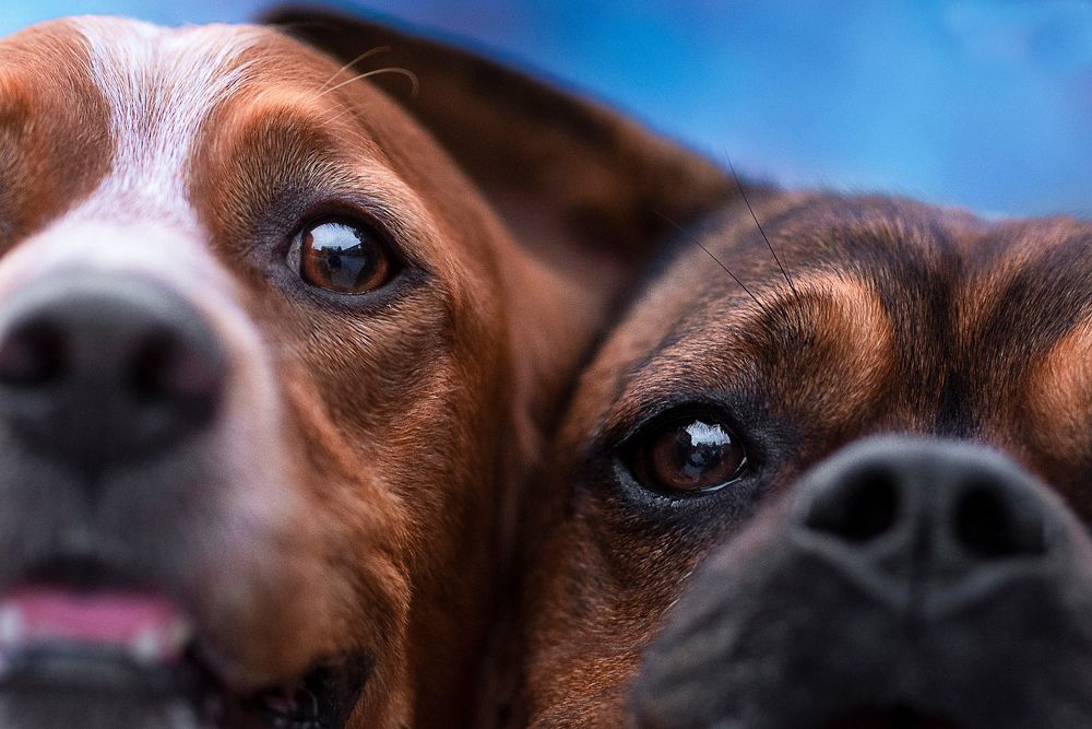 Photograph by Karina Saarestik