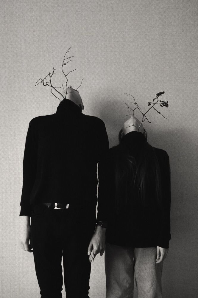 Photo #5851905
