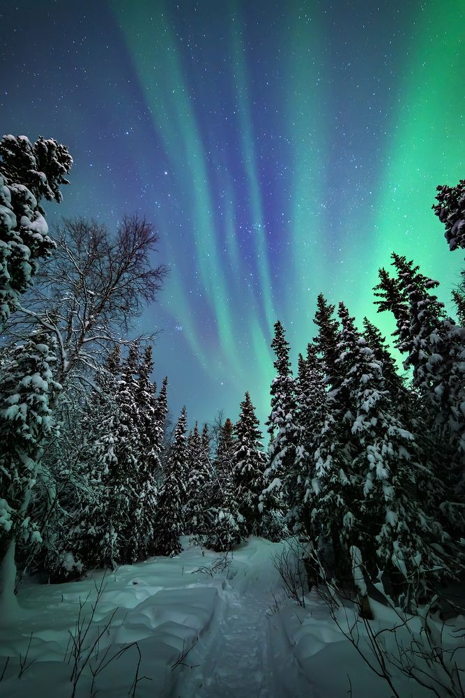 Photograph by Виктор Куликов