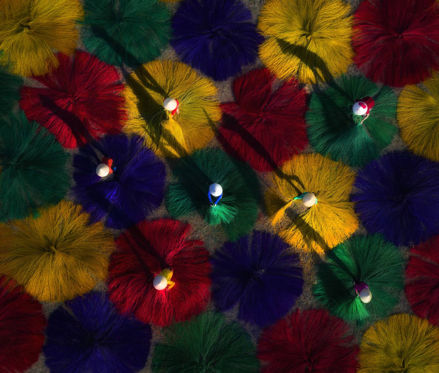 VŨ ĐIỆU PHƠI CÓI