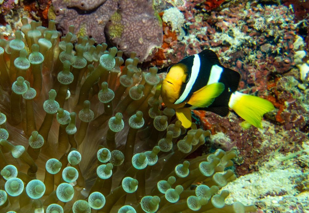 Photograph by Галина Михоношина