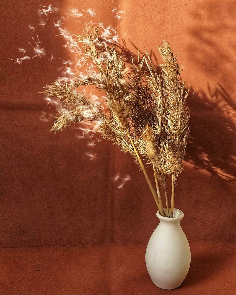 Photograph by Люда Яковлева