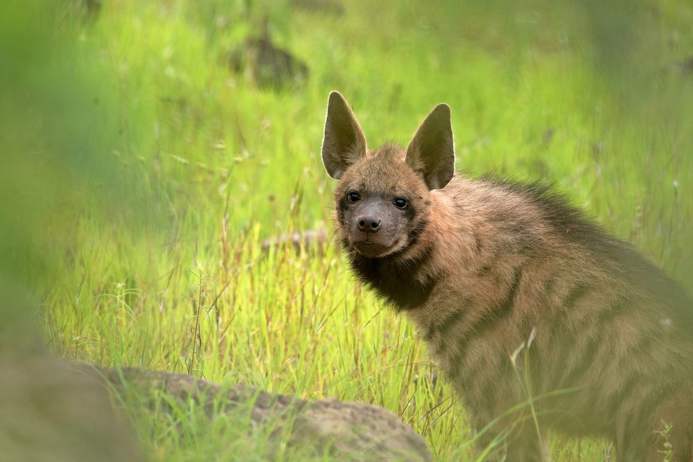 Nature focused and me ...