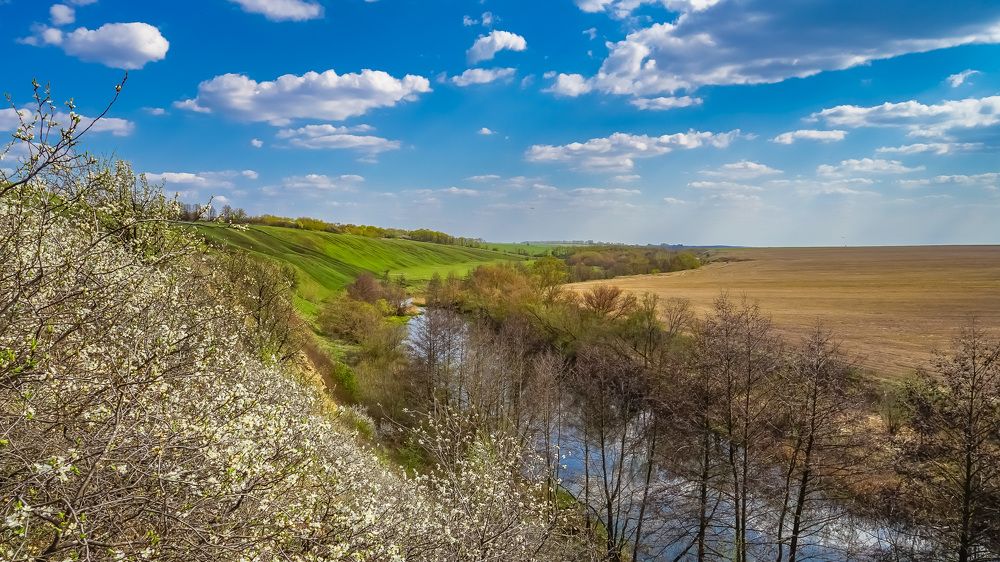 Ранняя весна на реке Кшень.