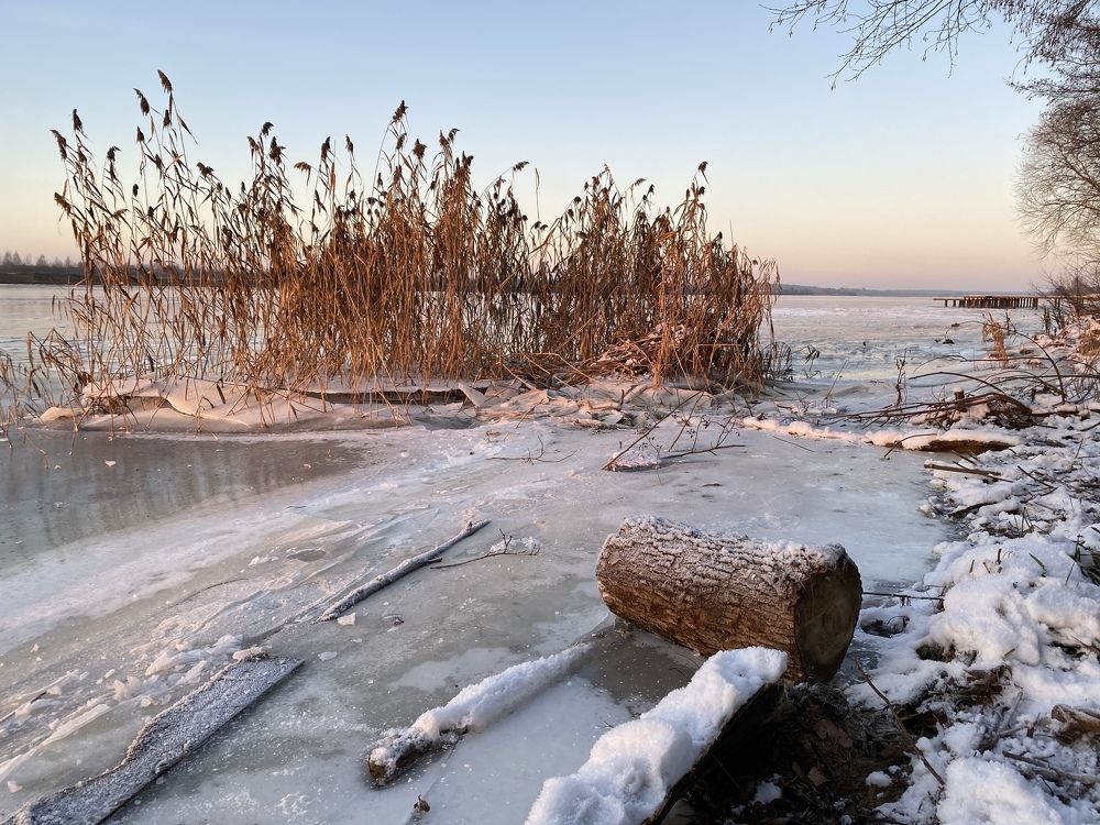 Фотография автора Ольга Горюнова