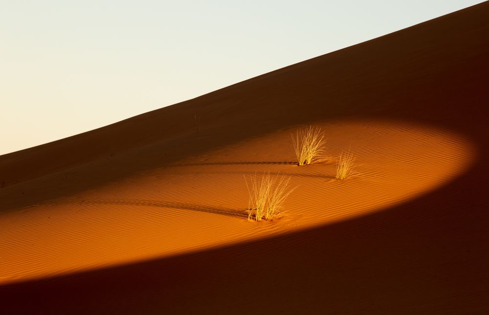 Photograph by Saleem Al Nadabi