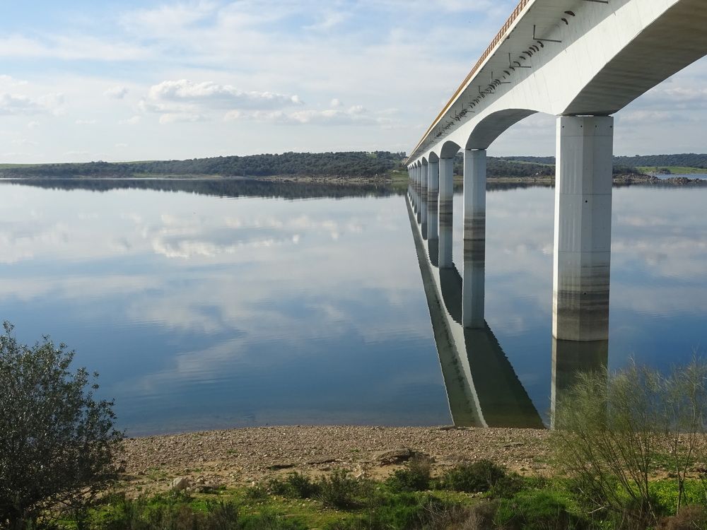 The bridge over calm waters