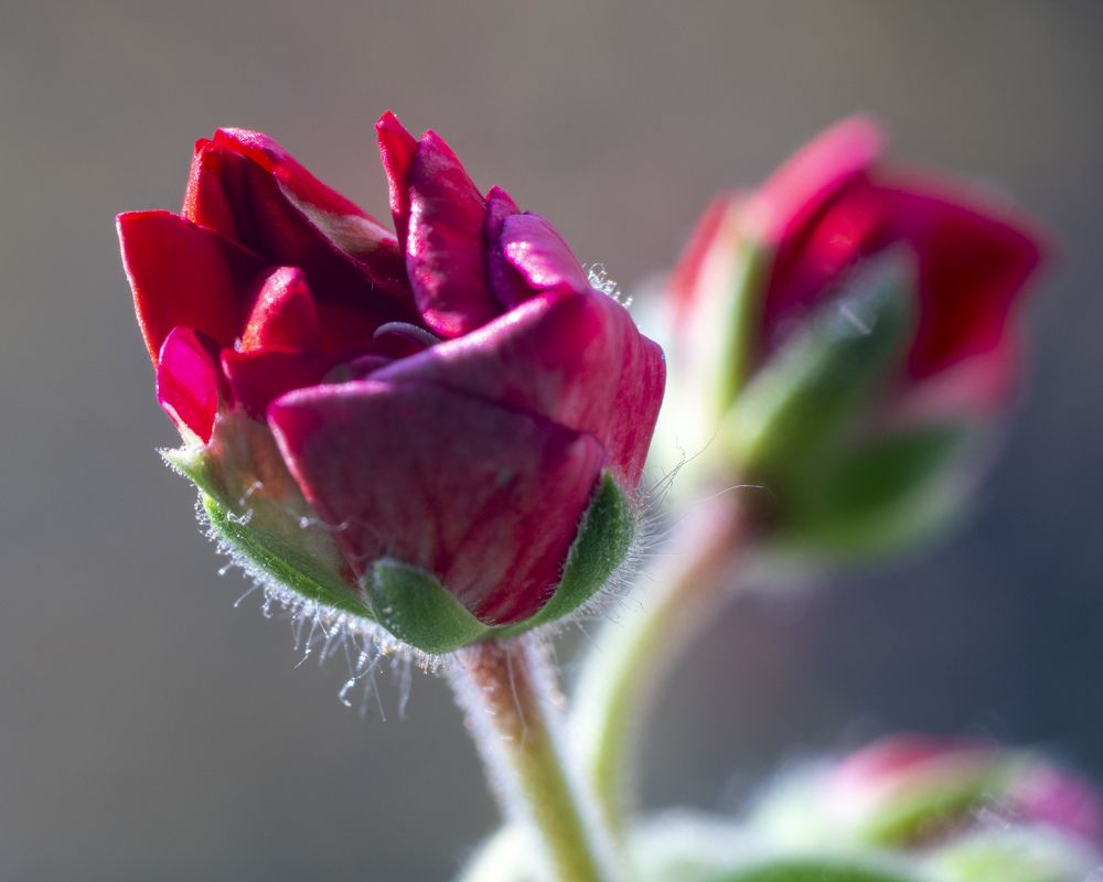 Photograph by Дмитрий Бельмаз