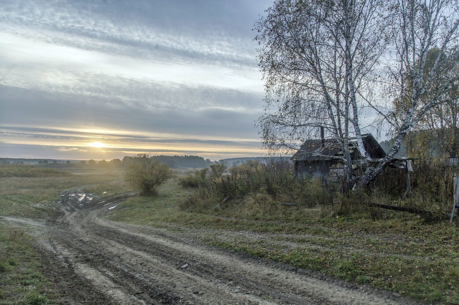 Photo #5852181