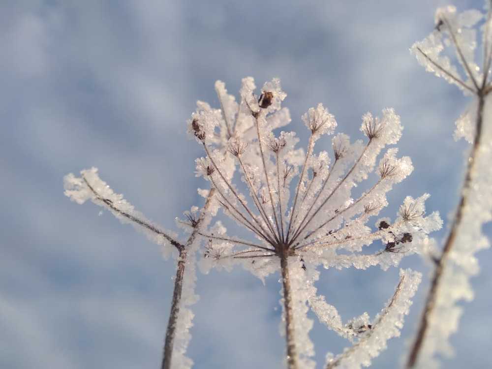 Photograph by Арсений Родыгин