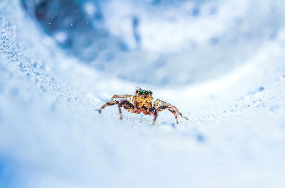 Photograph by Yusuf Buchari