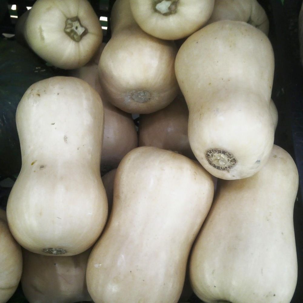 Photograph by Deasy Junita Dhani Hidayana