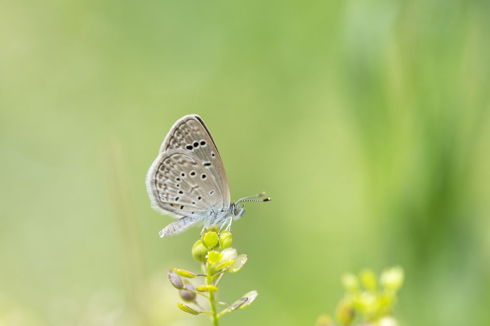 Photograph by Ömür Yaşar