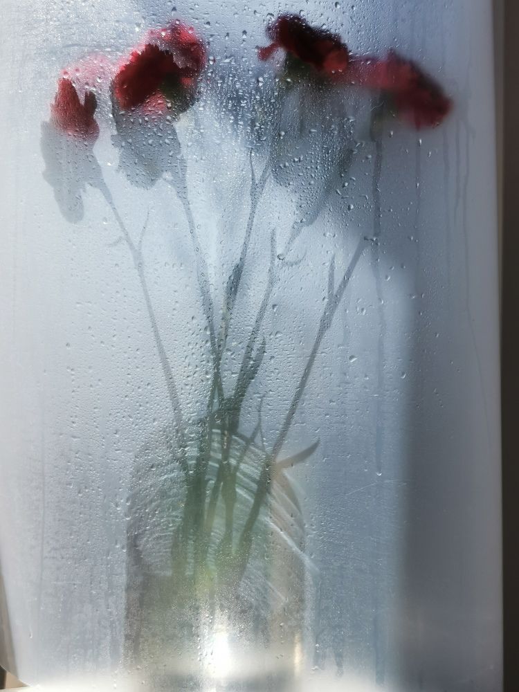 Photograph by Юлия Осипенко