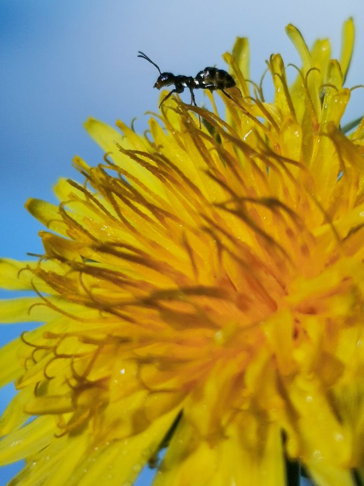 Photograph by Юлия Осипенко