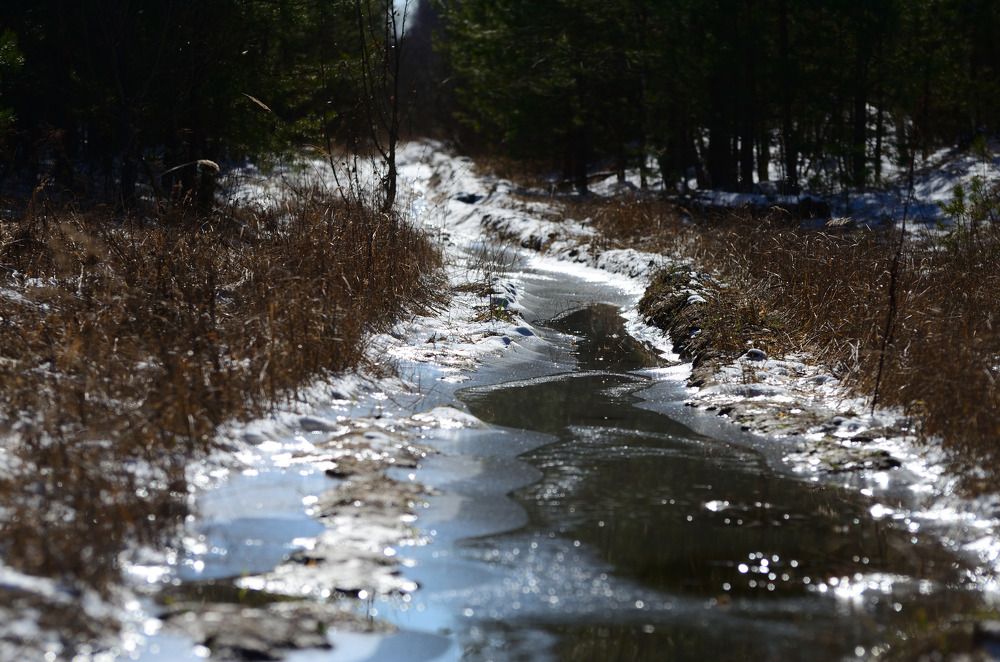 Photograph by Сергей Козлов