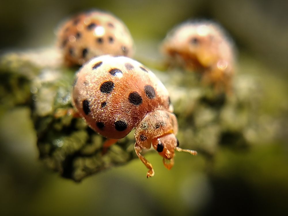 Photograph by Debajyoti Talukdar