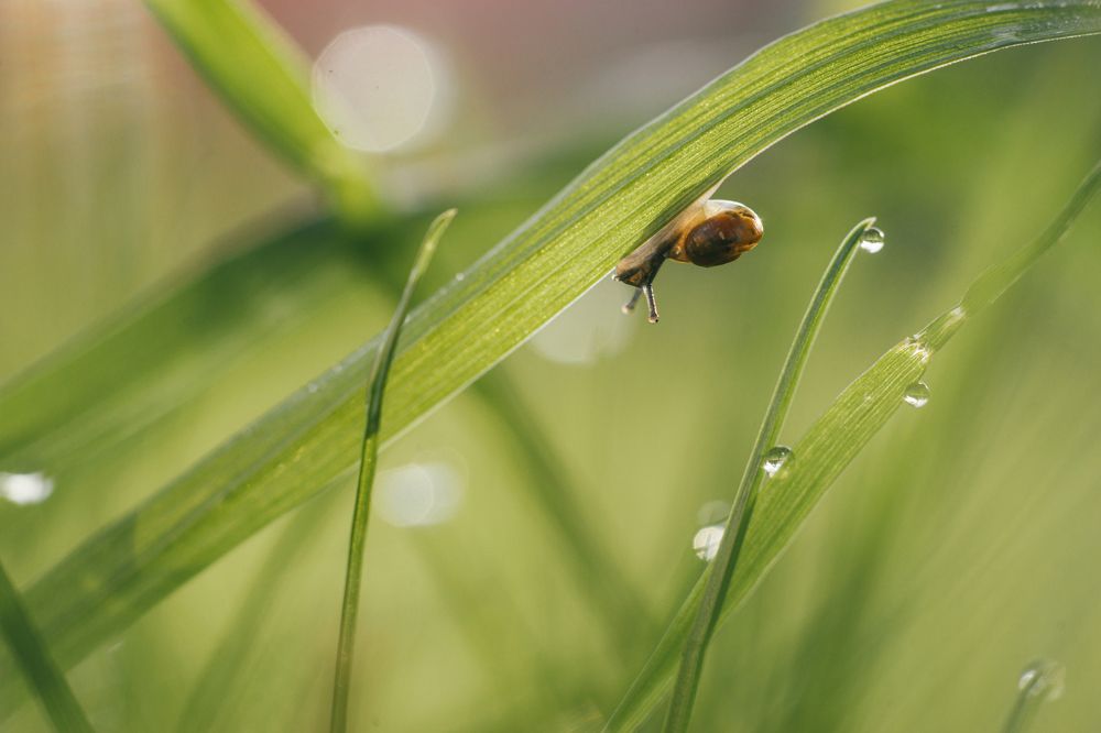 Photograph by Татьяна Пименкова