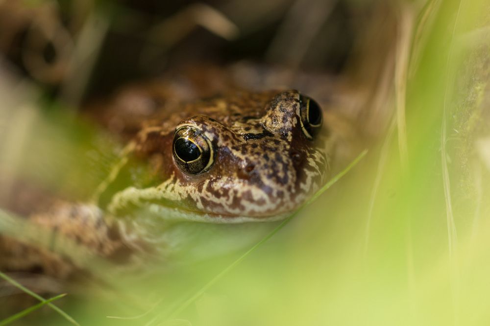 Photograph by Татьяна Пименкова