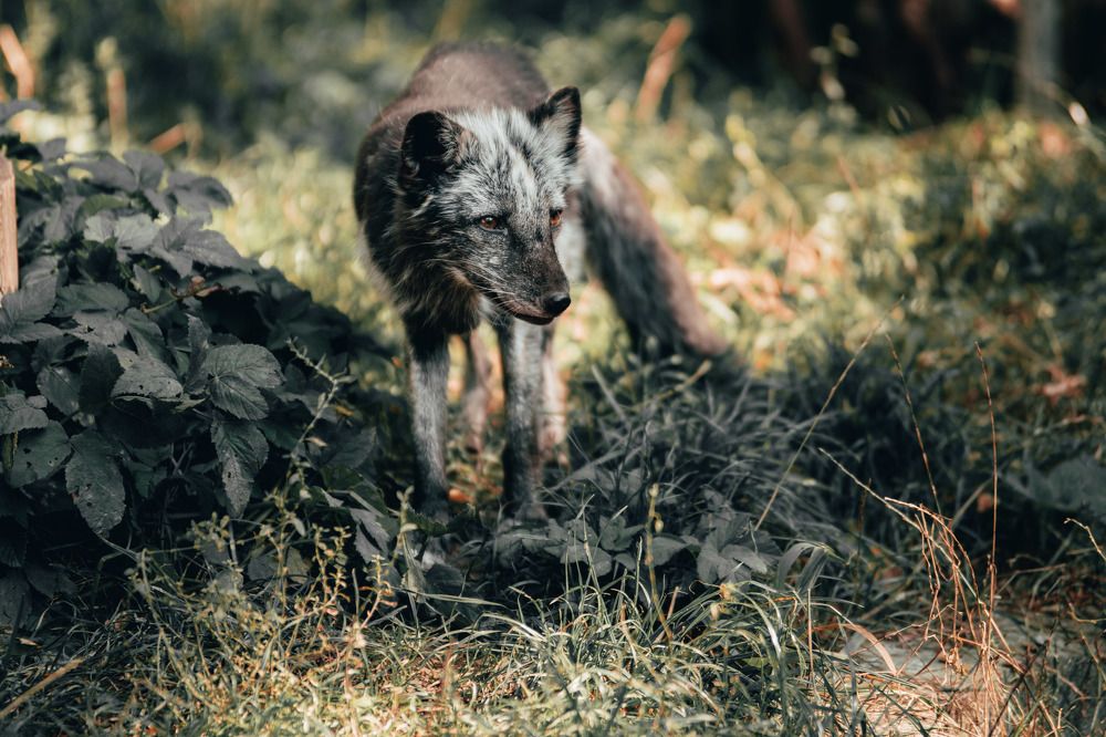 Photograph by Piotr Cichowski